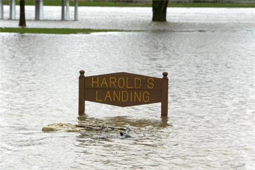Harold's Landing